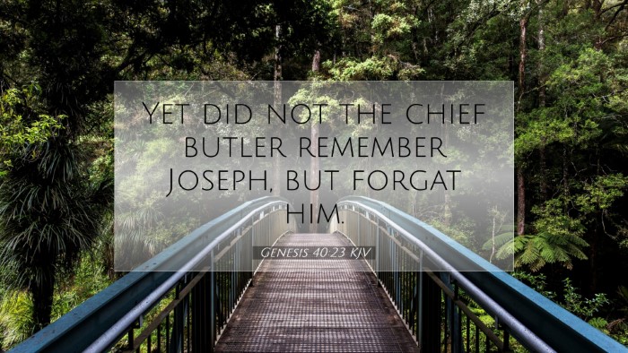 Picture 07 - Genesis 40:23 KJV Desktop Wallpaper - Yet did not the chief butler remember Joseph, but - Desktop Bible Verse Wallpaper