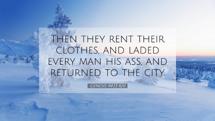 Picture 07 - Genesis 44:13 KJV Desktop Wallpaper - Then they rent their clothes, and laded every man - Desktop Bible Verse Wallpaper