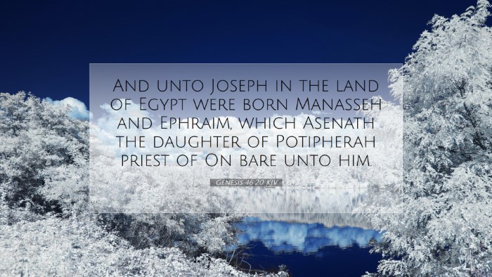 Picture 07 - Genesis 46:20 KJV Desktop Wallpaper - And unto Joseph in the land of Egypt were born - Desktop Bible Verse Wallpaper