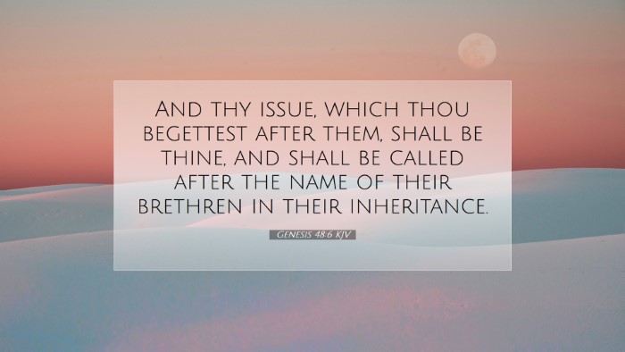 Picture 07 - Genesis 48:6 KJV Desktop Wallpaper - And thy issue, which thou begettest after them, - Desktop Bible Verse Wallpaper