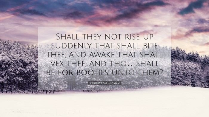 Picture 07 - Habakkuk 2:7 KJV Desktop Wallpaper - Shall they not rise up suddenly that shall bite - Desktop Bible Verse Wallpaper