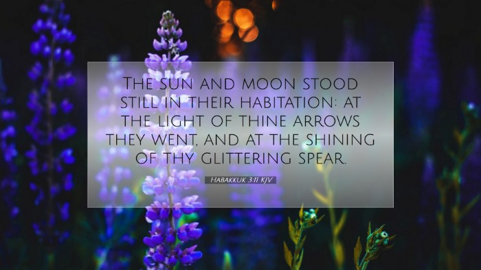 Picture 07 - Habakkuk 3:11 KJV Desktop Wallpaper - The sun and moon stood still in their habitation: - Desktop Bible Verse Wallpaper