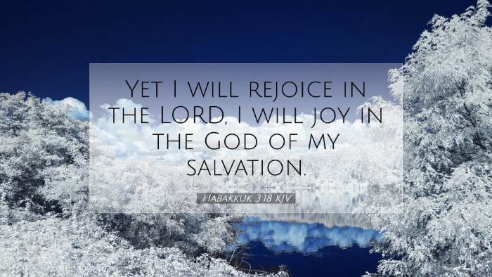 Picture 07 - Habakkuk 3:18 KJV Desktop Wallpaper - Yet I will rejoice in the LORD, I will joy in the - Desktop Bible Verse Wallpaper