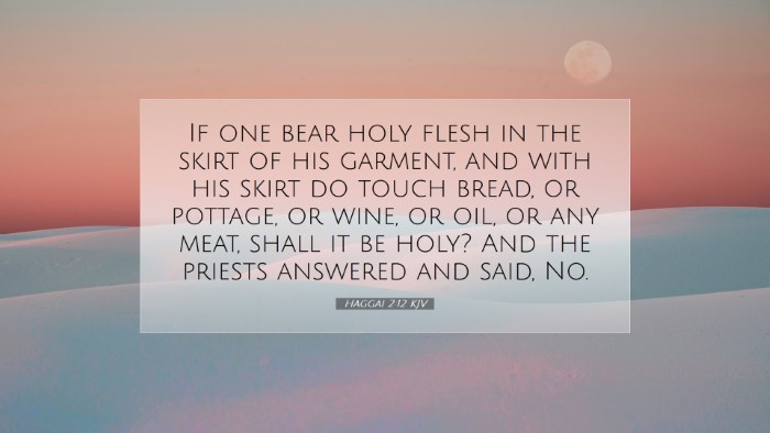 Picture 07 - Haggai 2:12 KJV Desktop Wallpaper - If one bear holy flesh in the skirt of his - Desktop Bible Verse Wallpaper