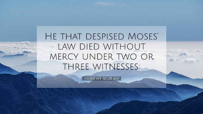 Picture 07 - Hebrews 10:28 KJV Desktop Wallpaper - He that despised Moses' law died without mercy - Desktop Bible Verse Wallpaper