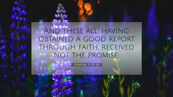 Picture 07 - Hebrews 11:39 KJV Desktop Wallpaper - And these all, having obtained a good report - Desktop Bible Verse Wallpaper