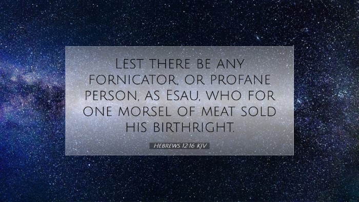 Picture 07 - Hebrews 12:16 KJV Desktop Wallpaper - Lest there be any fornicator, or profane person, - Desktop Bible Verse Wallpaper