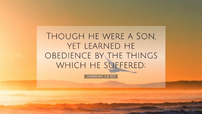 Picture 07 - Hebrews 5:8 KJV Desktop Wallpaper - Though he were a Son, yet learned he obedience by - Desktop Bible Verse Wallpaper