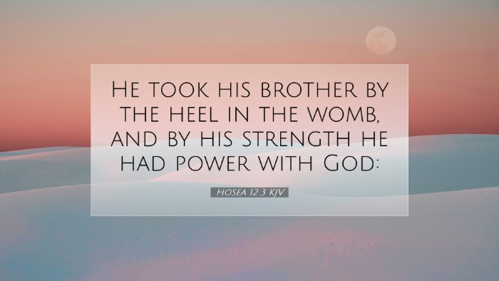 Picture 07 - Hosea 12:3 KJV Desktop Wallpaper - He took his brother by the heel in the womb, and - Desktop Bible Verse Wallpaper