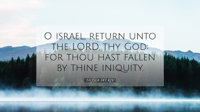 Picture 07 - Hosea 14:1 KJV Desktop Wallpaper - O israel, return unto the LORD thy God; for thou - Desktop Bible Verse Wallpaper