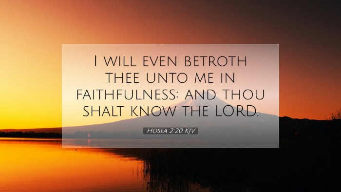 Picture 07 - Hosea 2:20 KJV Desktop Wallpaper - I will even betroth thee unto me in faithfulness: - Desktop Bible Verse Wallpaper