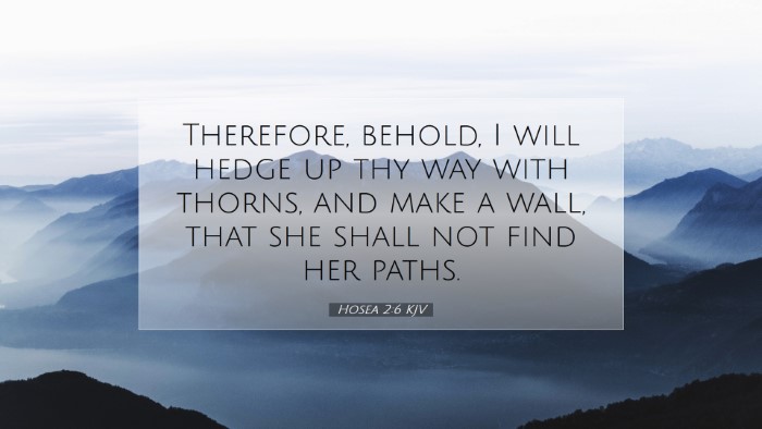 Picture 07 - Hosea 2:6 KJV Desktop Wallpaper - Therefore, behold, I will hedge up thy way with - Desktop Bible Verse Wallpaper