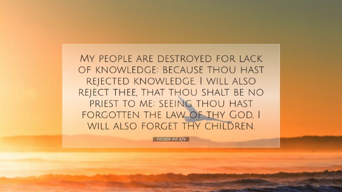 Picture 07 - Hosea 4:6 KJV Desktop Wallpaper - My people are destroyed for lack of knowledge: - Desktop Bible Verse Wallpaper
