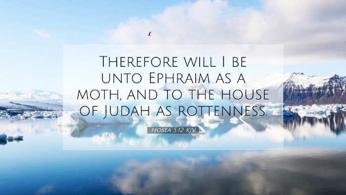 Picture 07 - Hosea 5:12 KJV Desktop Wallpaper - Therefore will I be unto Ephraim as a moth, and - Desktop Bible Verse Wallpaper