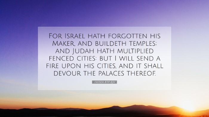 Picture 07 - Hosea 8:14 KJV Desktop Wallpaper - For Israel hath forgotten his Maker, and buildeth - Desktop Bible Verse Wallpaper