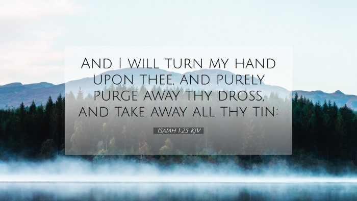 Picture 07 - Isaiah 1:25 KJV Desktop Wallpaper - And I will turn my hand upon thee, and purely - Desktop Bible Verse Wallpaper