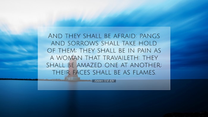 Picture 07 - Isaiah 13:8 KJV Desktop Wallpaper - And they shall be afraid: pangs and sorrows shall - Desktop Bible Verse Wallpaper
