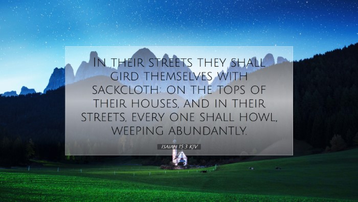 Picture 07 - Isaiah 15:3 KJV Desktop Wallpaper - In their streets they shall gird themselves with - Desktop Bible Verse Wallpaper