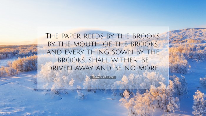 Picture 07 - Isaiah 19:7 KJV Desktop Wallpaper - The paper reeds by the brooks, by the mouth of - Desktop Bible Verse Wallpaper