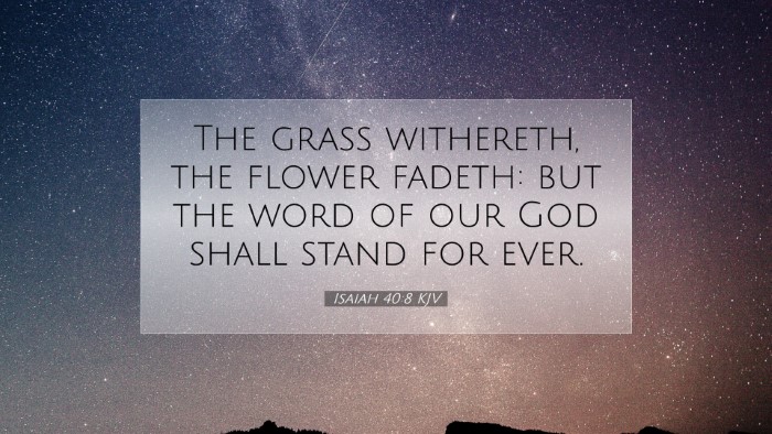 Picture 07 - Isaiah 40:8 KJV Desktop Wallpaper - The grass withereth, the flower fadeth: but the - Desktop Bible Verse Wallpaper