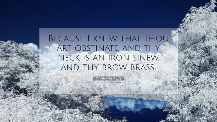 Picture 07 - Isaiah 48:4 KJV Desktop Wallpaper - Because I knew that thou art obstinate, and thy - Desktop Bible Verse Wallpaper