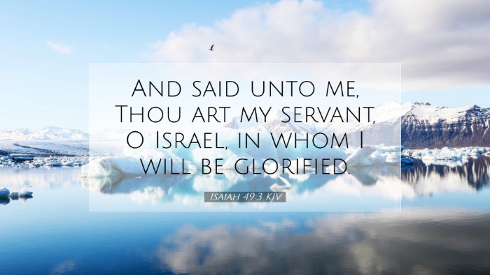 Picture 07 - Isaiah 49:3 KJV Desktop Wallpaper - And said unto me, Thou art my servant, O Israel, - Desktop Bible Verse Wallpaper