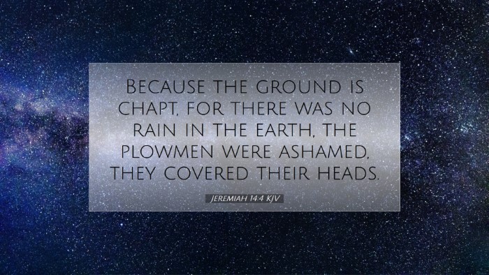 Picture 07 - Jeremiah 14:4 KJV Desktop Wallpaper - Because the ground is chapt, for there was no - Desktop Bible Verse Wallpaper