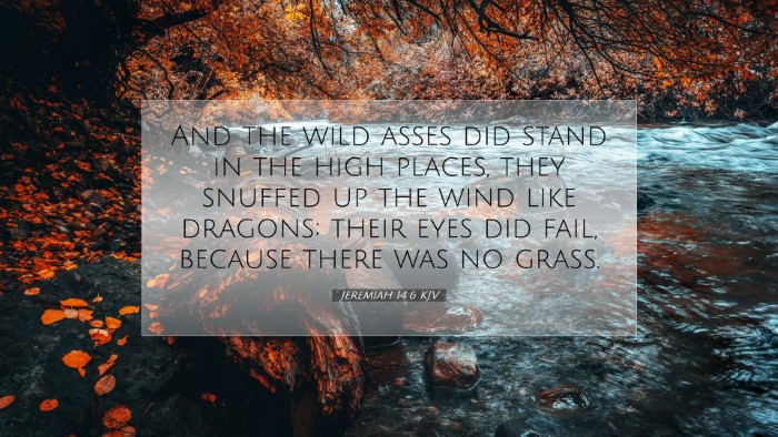 Picture 07 - Jeremiah 14:6 KJV Desktop Wallpaper - And the wild asses did stand in the high places, - Desktop Bible Verse Wallpaper