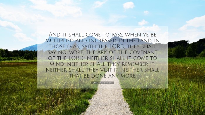 Picture 07 - Jeremiah 3:16 KJV Desktop Wallpaper - And it shall come to pass, when ye be multiplied - Desktop Bible Verse Wallpaper