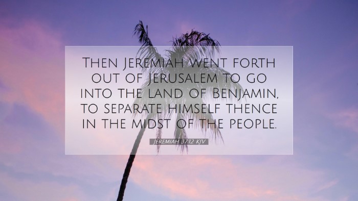 Picture 07 - Jeremiah 37:12 KJV Desktop Wallpaper - Then Jeremiah went forth out of Jerusalem to go - Desktop Bible Verse Wallpaper