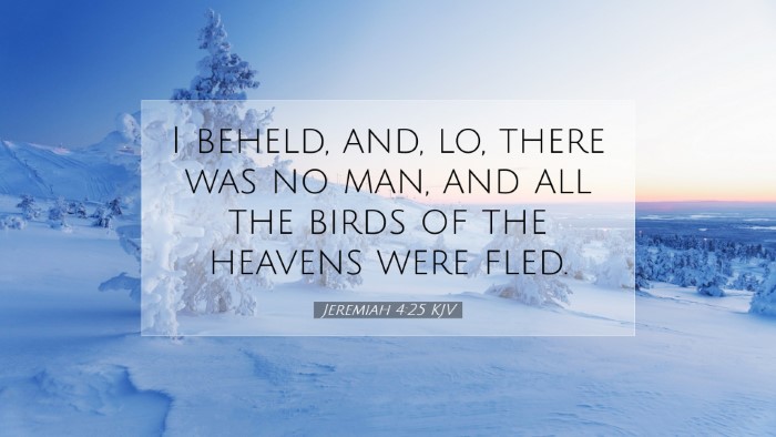Picture 07 - Jeremiah 4:25 KJV Desktop Wallpaper - I beheld, and, lo, there was no man, and all the - Desktop Bible Verse Wallpaper