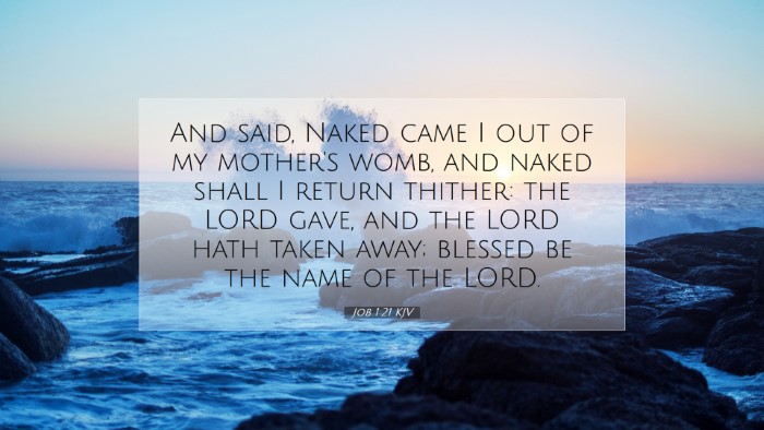 Picture 07 - Job 1:21 KJV Desktop Wallpaper - And said, Naked came I out of my mother's womb, - Desktop Bible Verse Wallpaper