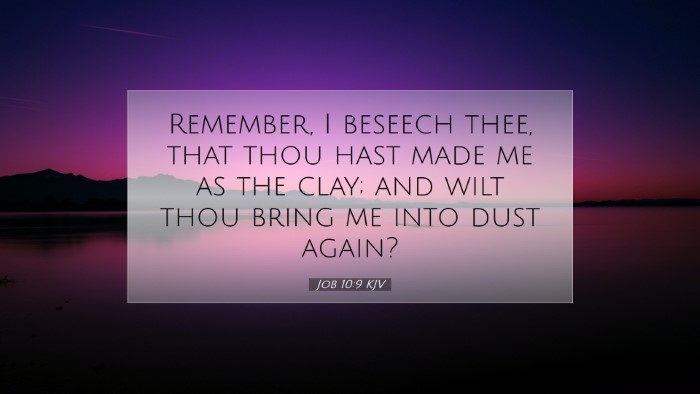 Picture 07 - Job 10:9 KJV Desktop Wallpaper - Remember, I beseech thee, that thou hast made me - Desktop Bible Verse Wallpaper