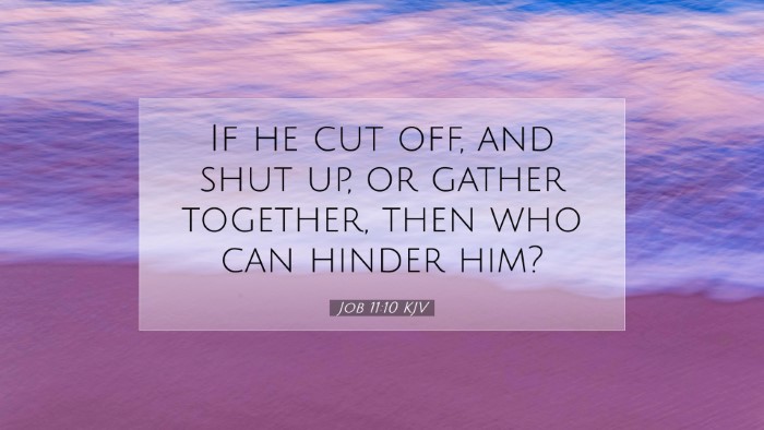 Picture 07 - Job 11:10 KJV Desktop Wallpaper - If he cut off, and shut up, or gather together, - Desktop Bible Verse Wallpaper