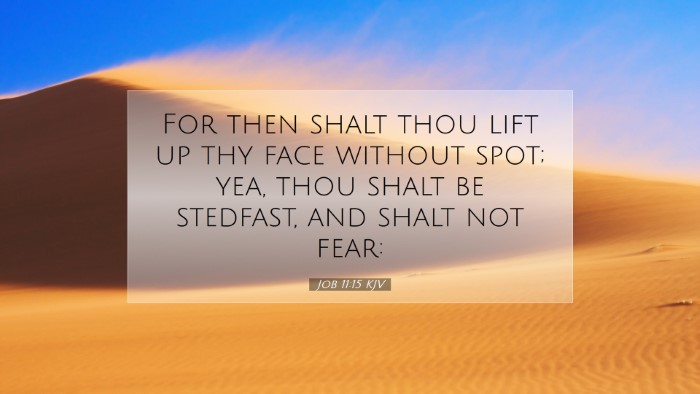 Picture 07 - Job 11:15 KJV Desktop Wallpaper - For then shalt thou lift up thy face without - Desktop Bible Verse Wallpaper