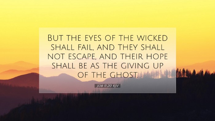 Picture 07 - Job 11:20 KJV Desktop Wallpaper - But the eyes of the wicked shall fail, and they - Desktop Bible Verse Wallpaper