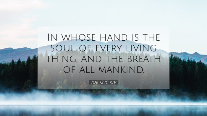 Picture 07 - Job 12:10 KJV Desktop Wallpaper - In whose hand is the soul of every living thing, - Desktop Bible Verse Wallpaper
