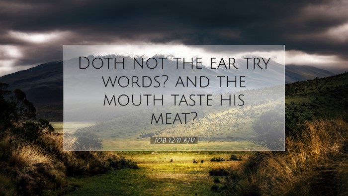 Picture 07 - Job 12:11 KJV Desktop Wallpaper - Doth not the ear try words? and the mouth taste - Desktop Bible Verse Wallpaper