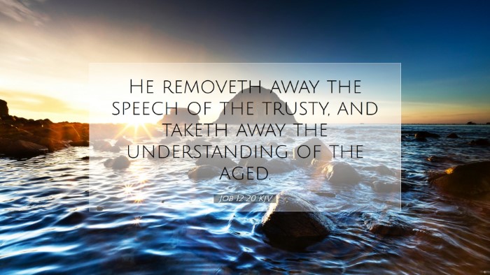Picture 07 - Job 12:20 KJV Desktop Wallpaper - He removeth away the speech of the trusty, and - Desktop Bible Verse Wallpaper