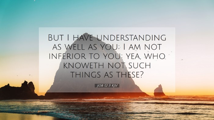Picture 07 - Job 12:3 KJV Desktop Wallpaper - But I have understanding as well as you; I am not - Desktop Bible Verse Wallpaper