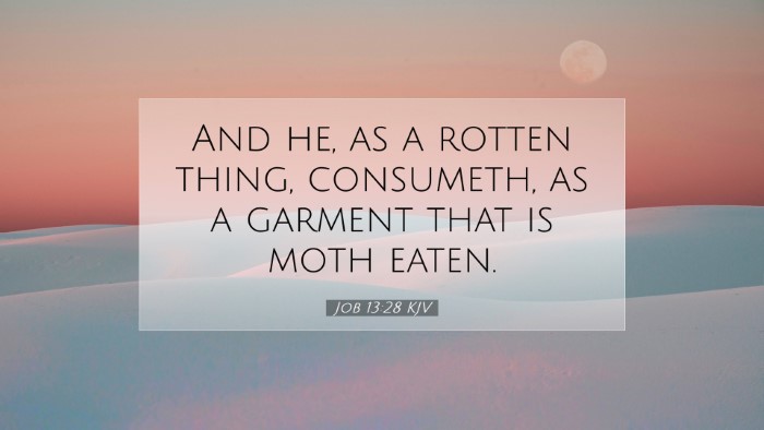 Picture 07 - Job 13:28 KJV Desktop Wallpaper - And he, as a rotten thing, consumeth, as a - Desktop Bible Verse Wallpaper