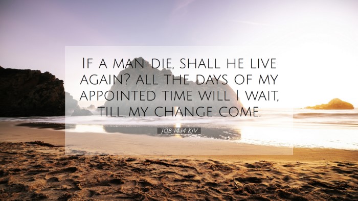 Picture 07 - Job 14:14 KJV Desktop Wallpaper - If a man die, shall he live again? all the days - Desktop Bible Verse Wallpaper