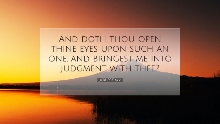 Picture 07 - Job 14:3 KJV Desktop Wallpaper - And doth thou open thine eyes upon such an one, - Desktop Bible Verse Wallpaper