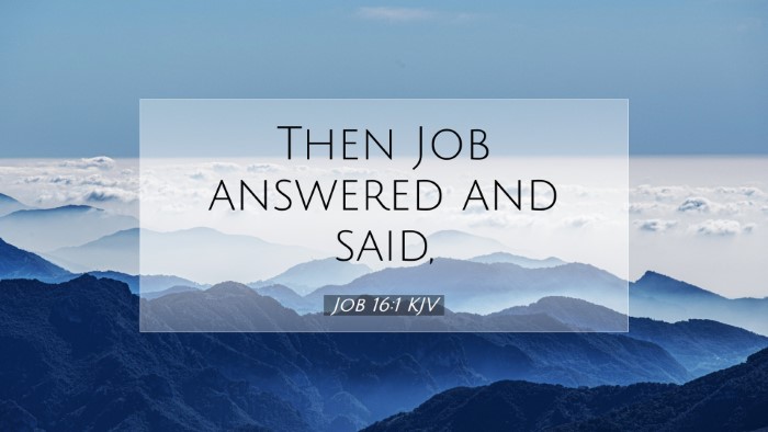 Picture 07 - Job 16:1 KJV Desktop Wallpaper - Then Job answered and - Desktop Bible Verse Wallpaper