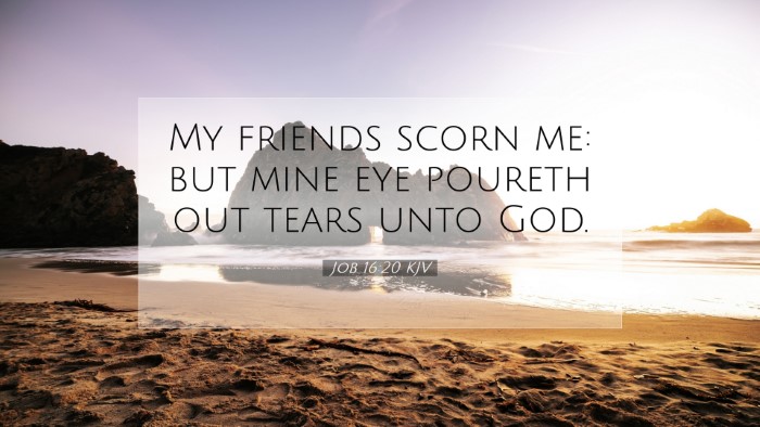 Picture 07 - Job 16:20 KJV Desktop Wallpaper - My friends scorn me: but mine eye poureth out - Desktop Bible Verse Wallpaper