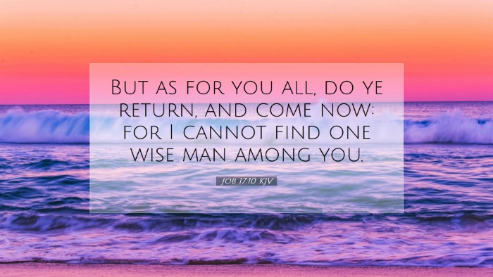 Picture 07 - Job 17:10 KJV Desktop Wallpaper - But as for you all, do ye return, and come now: - Desktop Bible Verse Wallpaper