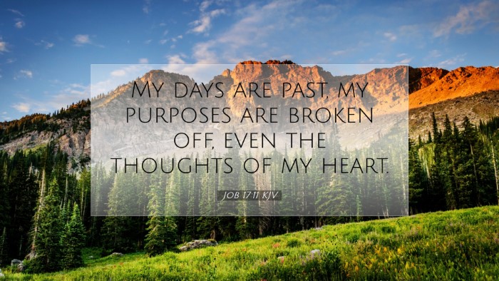 Picture 07 - Job 17:11 KJV Desktop Wallpaper - My days are past, my purposes are broken off, - Desktop Bible Verse Wallpaper