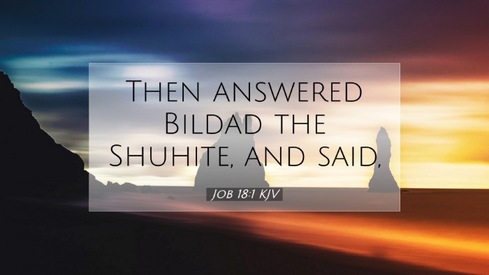 Picture 07 - Job 18:1 KJV Desktop Wallpaper - Then answered Bildad the Shuhite, and - Desktop Bible Verse Wallpaper