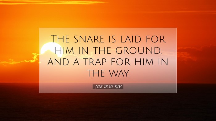 Picture 07 - Job 18:10 KJV Desktop Wallpaper - The snare is laid for him in the ground, and a - Desktop Bible Verse Wallpaper