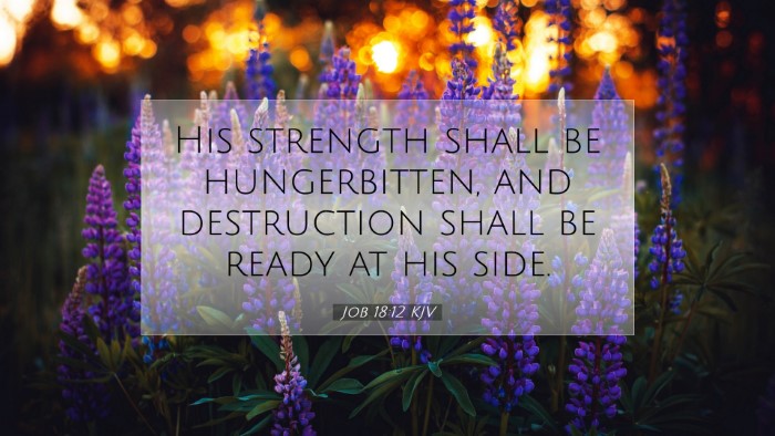 Picture 07 - Job 18:12 KJV Desktop Wallpaper - His strength shall be hungerbitten, and - Desktop Bible Verse Wallpaper